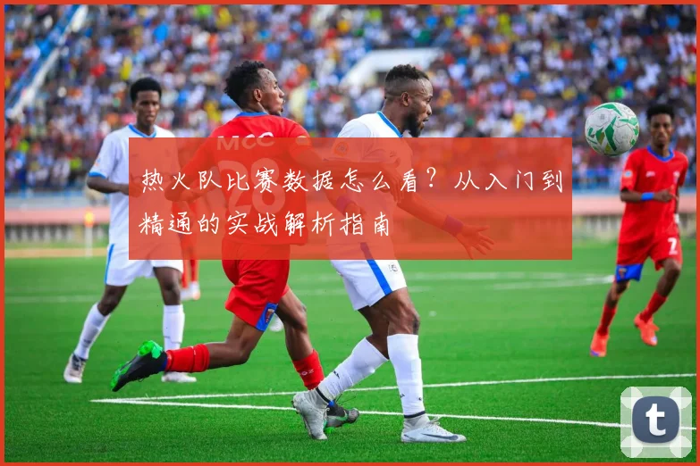 热火队比赛数据怎么看？从入门到精通的实战解析指南