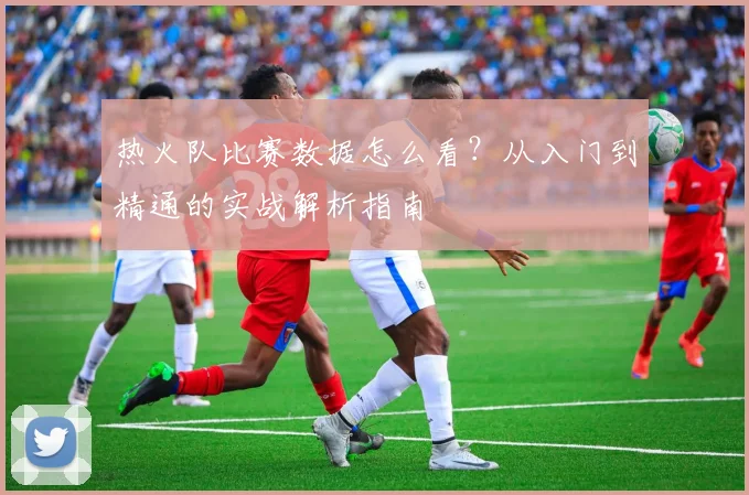 热火队比赛数据怎么看？从入门到精通的实战解析指南
